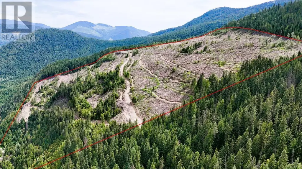 Quartz Creek Forest Service Road Road Lot# Parcel A, Ymir
